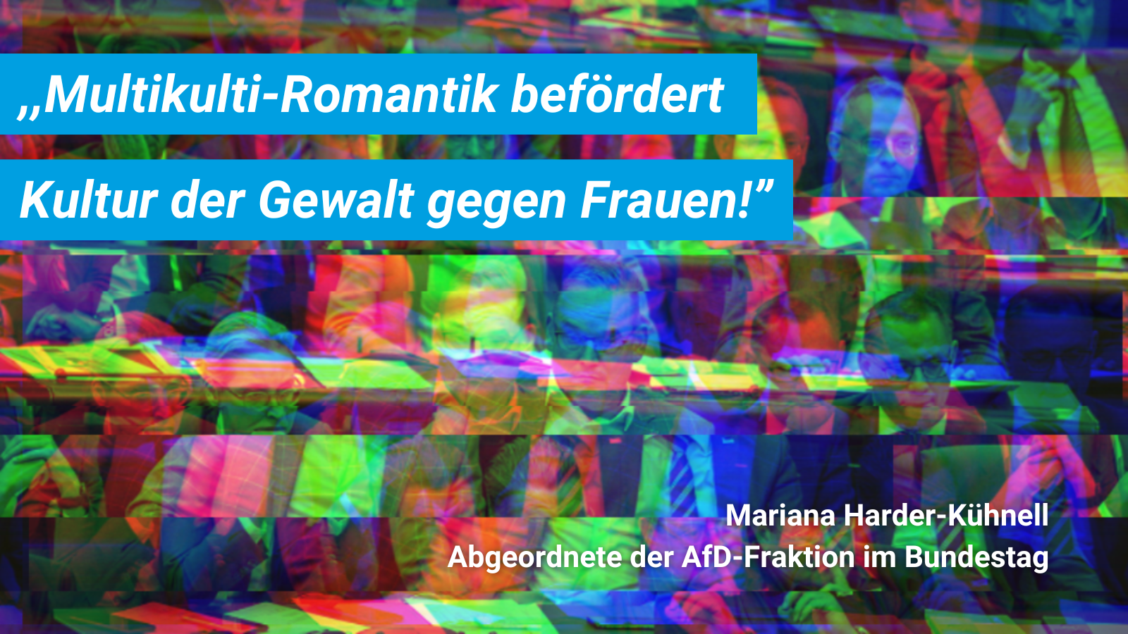 Mariana Harder-Kühnell Zitat - AfD Handreichung