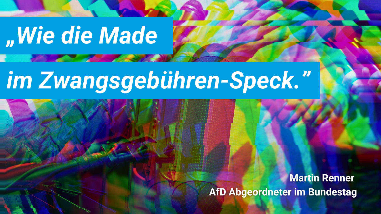 Martin Renner Zitat - AfD Handreichung