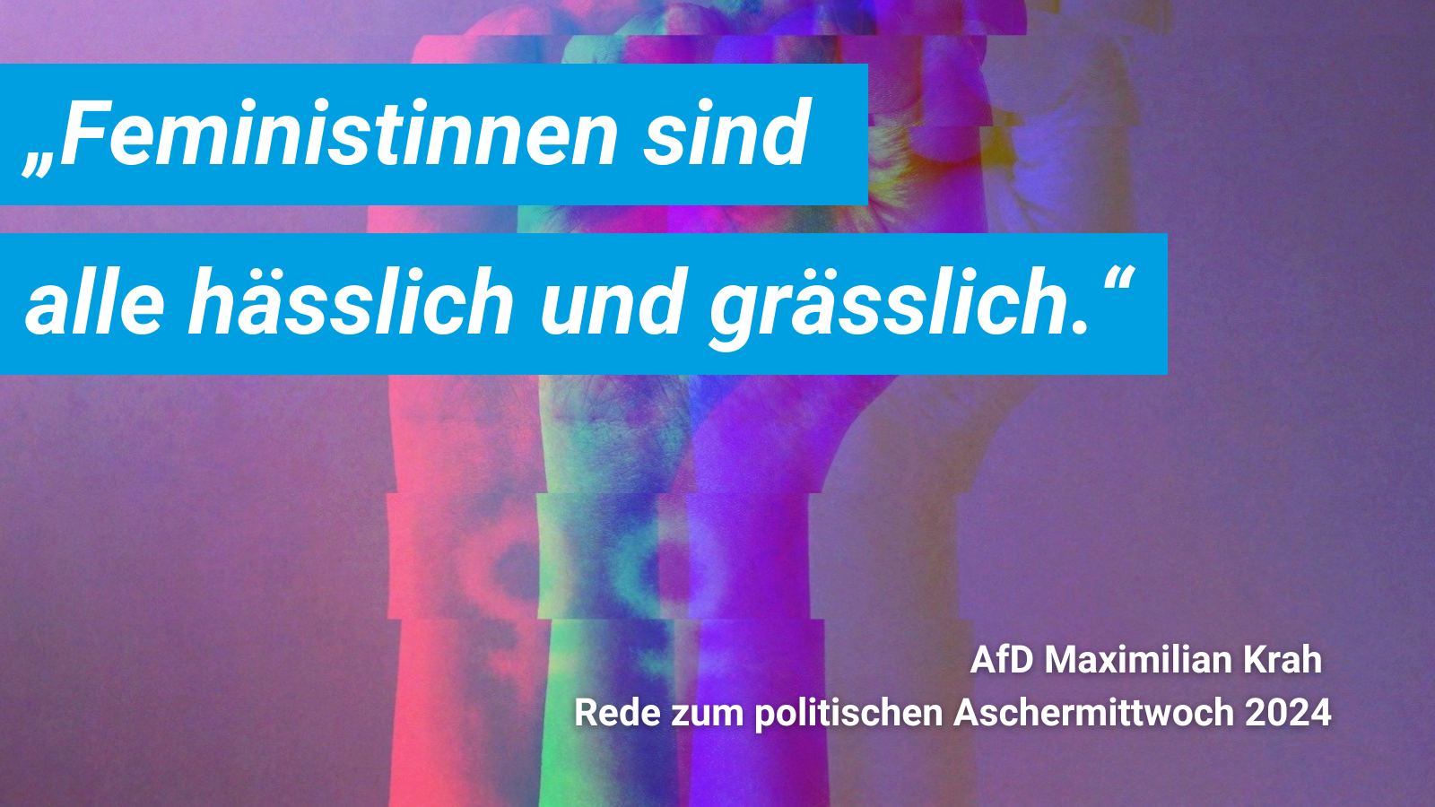 Maximilian Krah Zitat Antifeminismus - AfD Handreichung